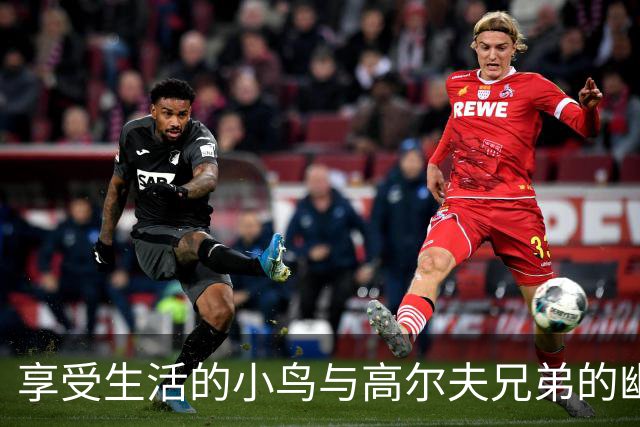 享受生活的小鸟与高尔夫兄弟的幽默之旅