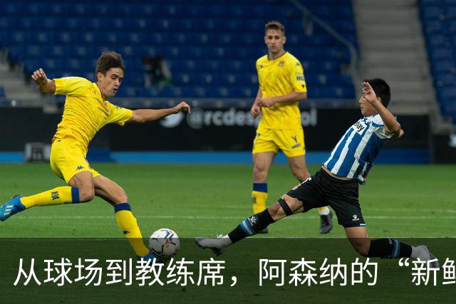 从球场到教练席，阿森纳的“新鲜血液”再出发