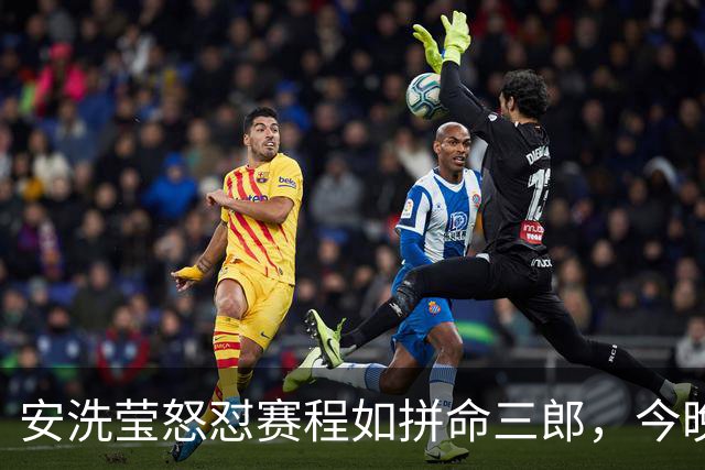 安洗莹怒怼赛程如拼命三郎，今晚我只想吃热乎乎的鳗鱼饭！