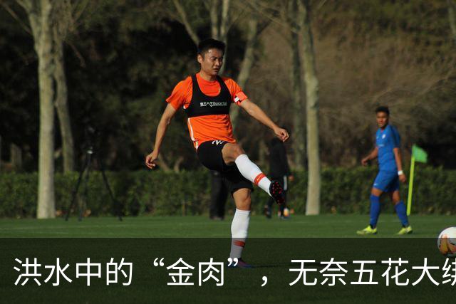 洪水中的“金肉”，无奈五花大绑脱离险境！