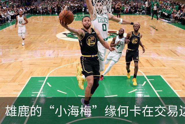雄鹿的“小海梅”缘何卡在交易边缘？听我娓娓道来！